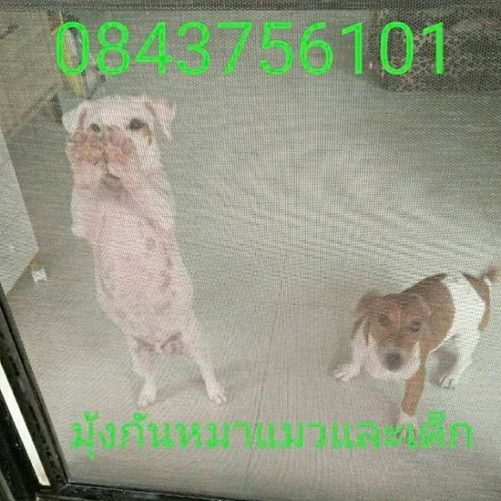 ติดมุ้งลวดกันหมาแมว บางใหญ่